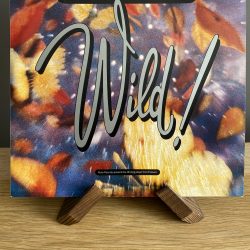 Erasure - Wild!
